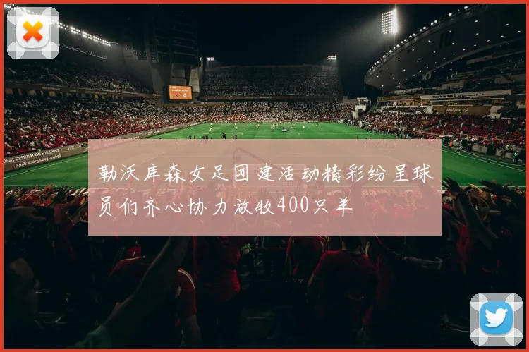 勒沃库森女足团建活动精彩纷呈球员们齐心协力放牧400只羊