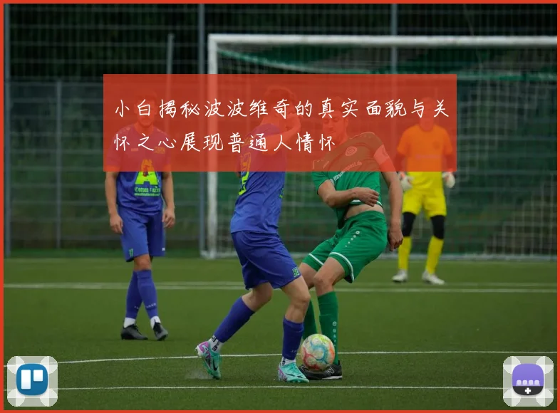 小白揭秘波波维奇的真实面貌与关怀之心展现普通人情怀
